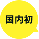 国内初
